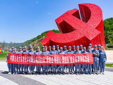 内蒙古博大实地化学有限公司